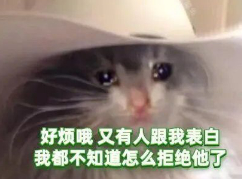 18.当我昨天给了你一条短信时，我仍然期望你会立即返回手机。那时，你和你的女朋友在一起吗？有像你这样的男孩陪伴，她真的很开心。