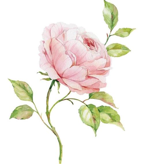 15.我想有同情心,但我在漠不关心受伤。我希望每个人都很好,毕竟有一个亲戚担心它。有一件事要理解,少责备。毕竟,它在世界上幸存下来,没有人很容易。