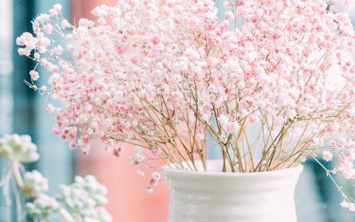 家庭伤害的判决谈到了情绪1