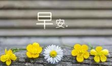 2021最新早安句子温暖励志