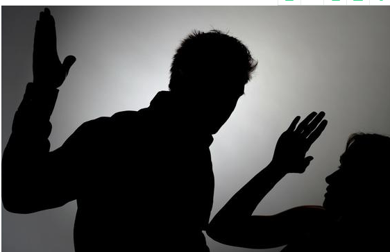 房子的心脏句子