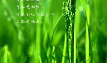 朋友圈优美句子短句子