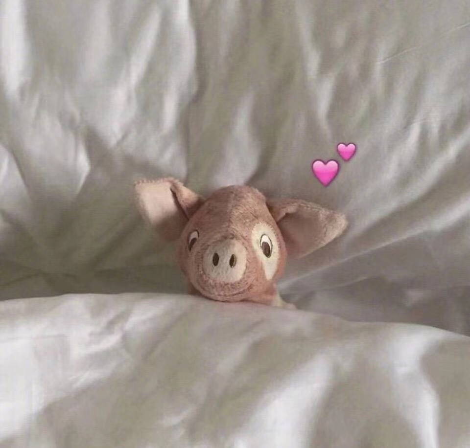 坚持不懈的经典句子1