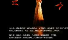 付出爱的心碎句子