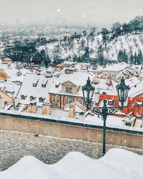 由于痛苦的句子1