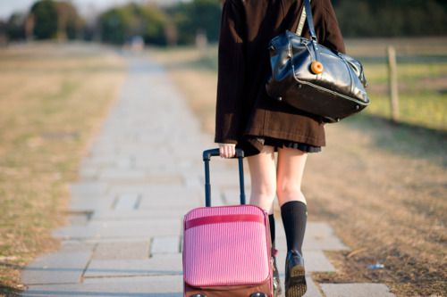 第1条关于爱情心碎