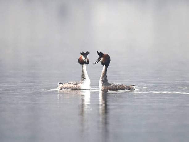 周末问候短信简单