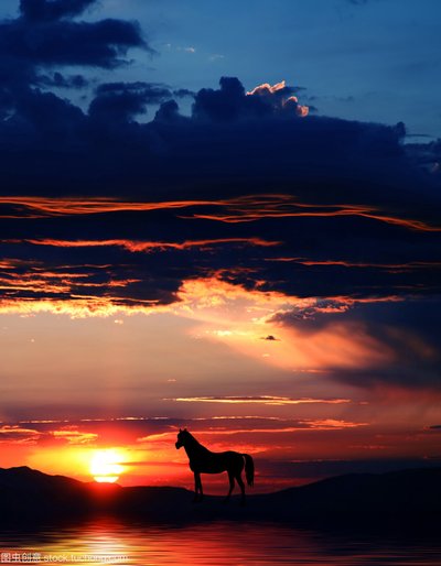 韩语语友句带带翻译