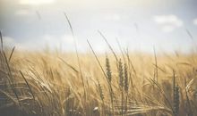 周末愉快短句发朋友圈