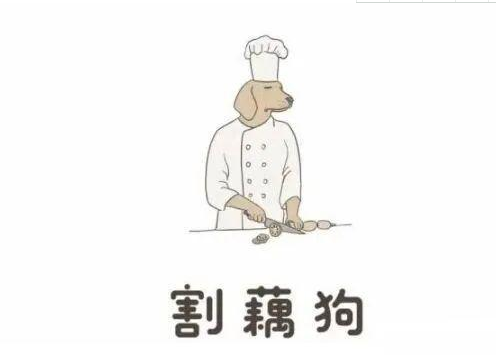 甜美的空气动力学暗示案件与一些沙雕刻