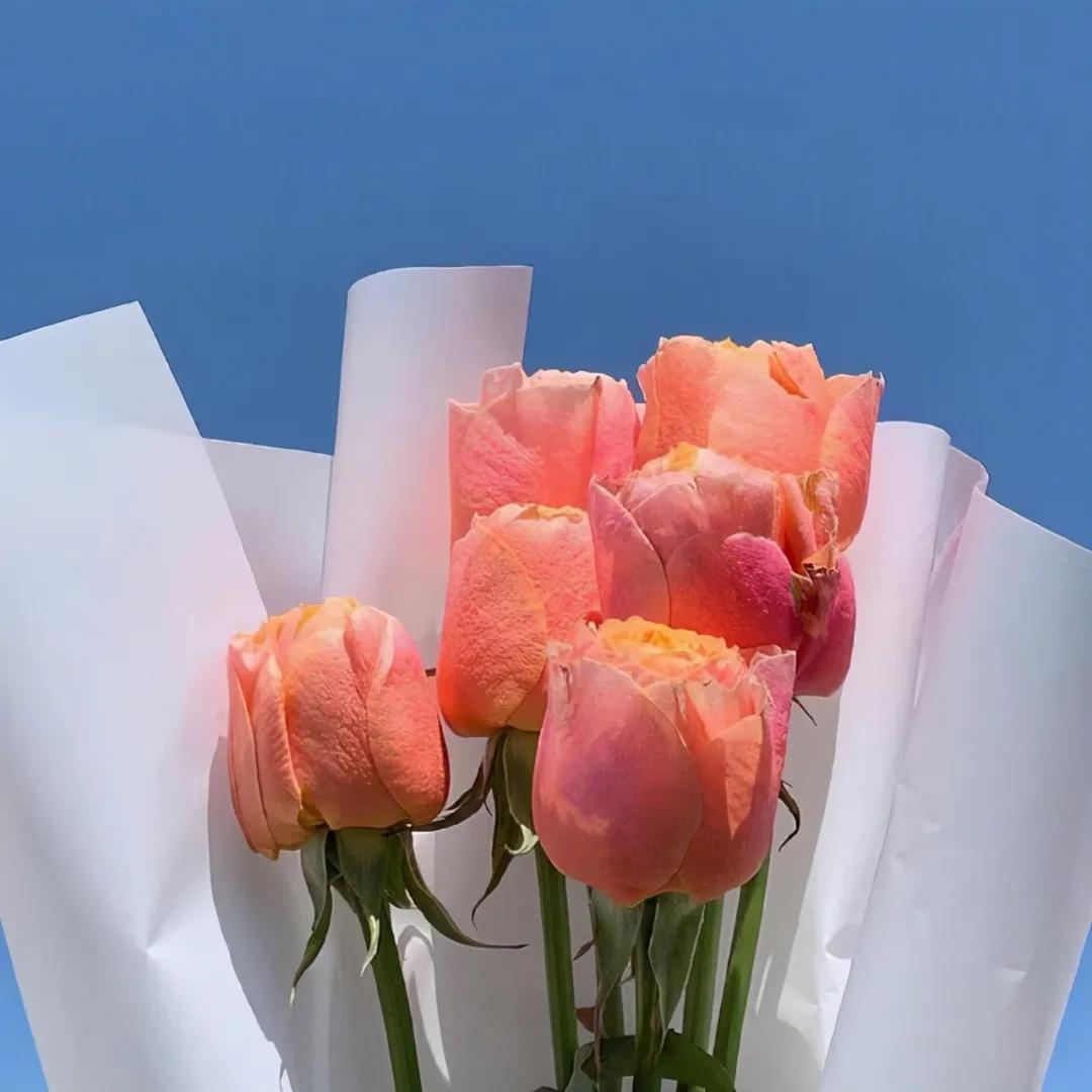 15，太阳，非常温暖。你的笑，非常浅。坚持，非常好。它就像在梦中的一朵花。