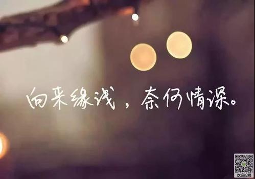 朋友圈谈论失望的短语