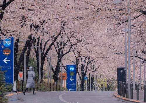 10，我收集了美丽的一罐春天，我珍惜夏天的辉煌包，我救了秋天的幸福，冬天，我发布了温暖的标签，送了四个赛季的幸福，我希望你能和平的方式！！