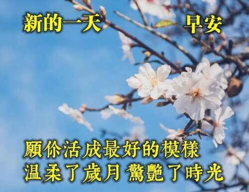 积极的能量短信与早晨问候1