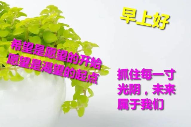 积极的能量短信与早晨问候