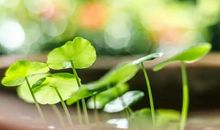 周末愉快的正能量句子