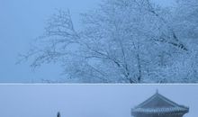 无爱的文案句子