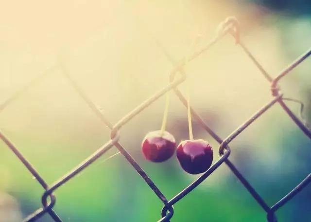 31.我不能接受一个让我聊天录制十几页的人。突然，我想离开。