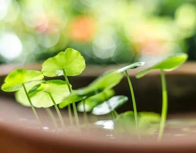 情绪谈论这句话1