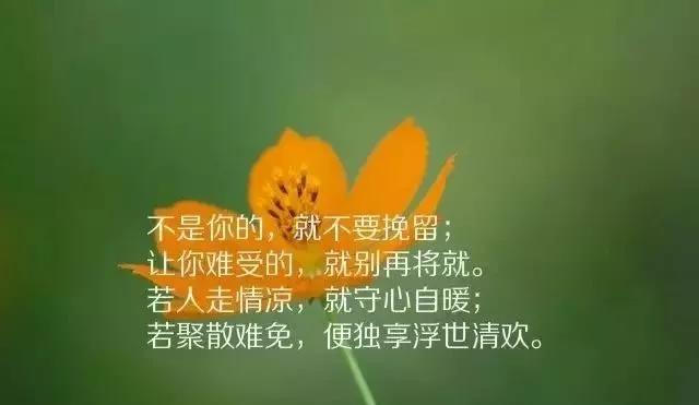 每天早期的每日积极能量