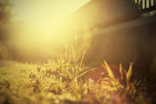 夏季热门护理问候朋友