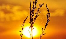 发朋友圈冬季早安的句子