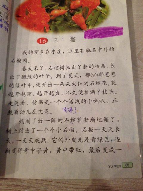 美文30字左右