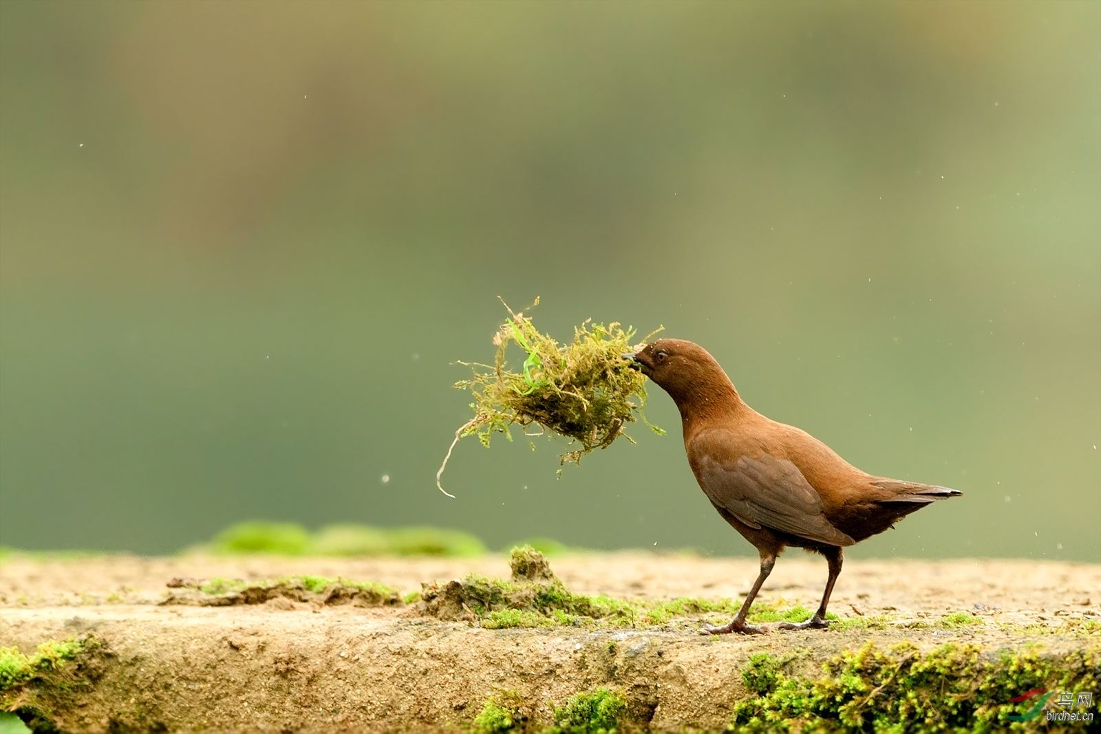 15,一个小的祝福不能让天气变暖,我必须祝愿祝福保持你的心。祝你在生活中微笑,而业务正在滚动,身体健康。终于提醒要记得戴一点。