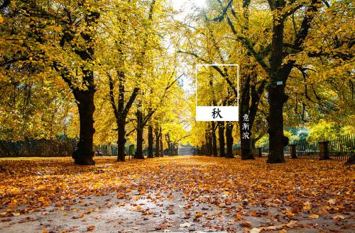 15，微笑，跳跃，难以跳跃，幸福，幸福，漂移，漂移，美丽的梦想，你可以分支，我希望你每天都有一个好眉毛，总是在你的心里，生活很高兴