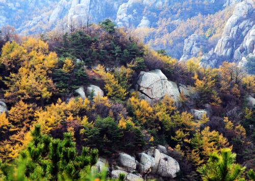 秋季和冬季问候短信