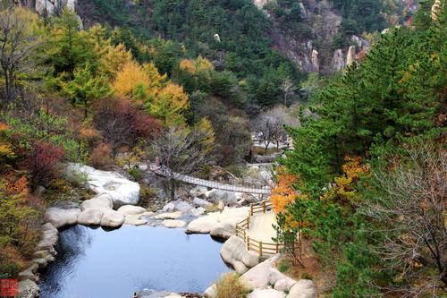 秋季和冬季问候SMS 1