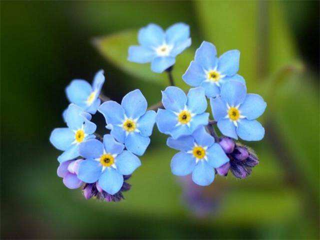 4S商店天气问候短信SMS模板1