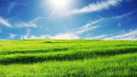 天气温暖的周末问候短信1