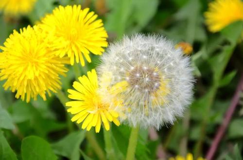 天气温暖的周末问候短信2