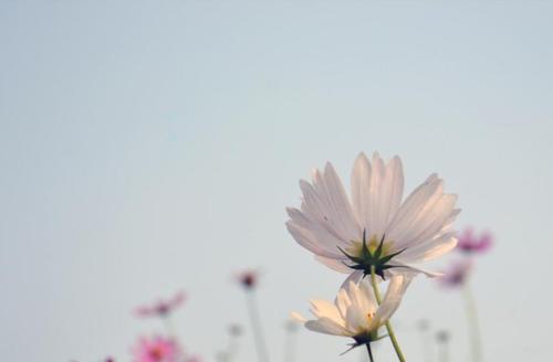 3月的第一天表示