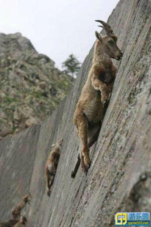 表达一节诗歌看到红尘