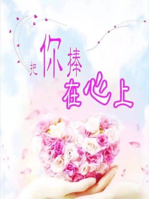 网络是最热的刷毛