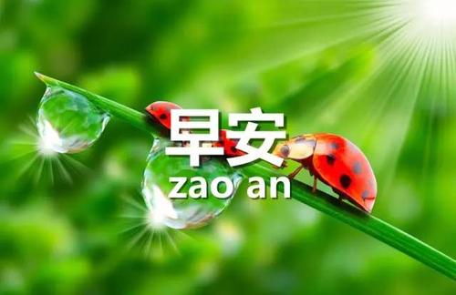 早上向领导人问候