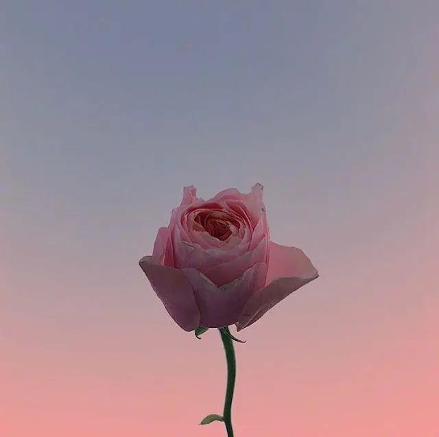 触摸人们的忏悔句