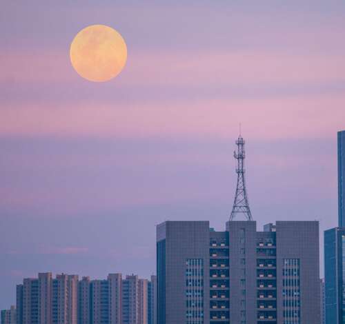 10，我突然觉得我就像一个桃花，穿着粉红色的衣服，站在阳光下。笑声吹，我跳舞，粉红色的衣服随风跳舞，不只是我，所有的桃花都在跳舞。风通过了。风通过了，我停止了舞蹈，悄悄地站起来，鸟飞过来，在清晨告诉我幸福，孩子们来了，告诉我玩游戏。