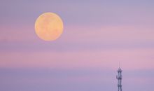 愿你游戏里开心的句子