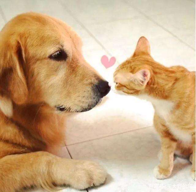 15.正准备关闭，但突然记得，亲爱的朋友，没有长时间联系过。不要以为我会忘记你，事实上，我一直在心里。祝你幸福快乐，一切顺利！