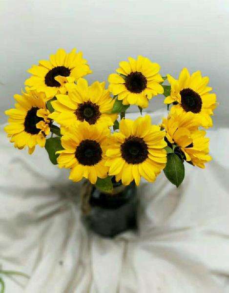 15，我希望太阳永远不会想成为xi，常常挂天空;我想成为星光永远不会沉闷，夜晚;我想在冬天永远不会冷，它就像一个春天温暖;我想看短信永远不会担心，幸福，幸福永远！