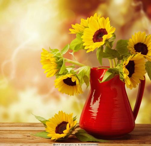 如何批量问候短信