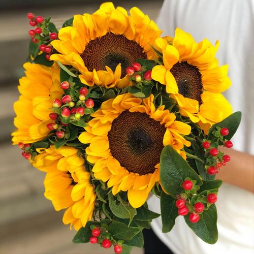 如何发送问候短信1