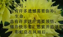 初春早晨说说心情短语