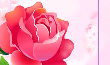 情人节快乐的语句