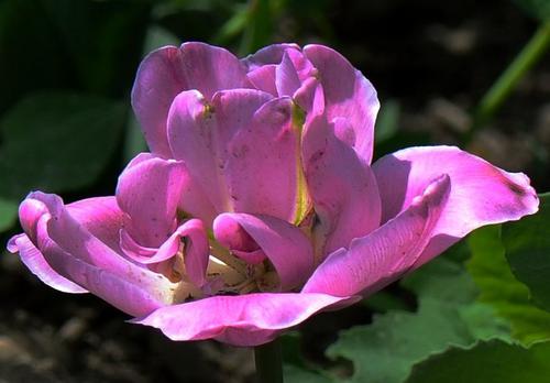 五月之后，请短信1