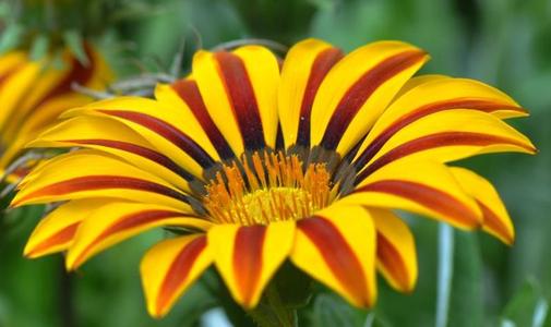 15.假期是自然的，工作令人困惑，薪水呕吐，缺席是自我找到的。假期结束了，祝你回报快乐，去上班！