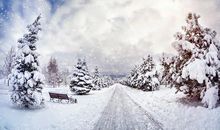 想去看雪的优美句子